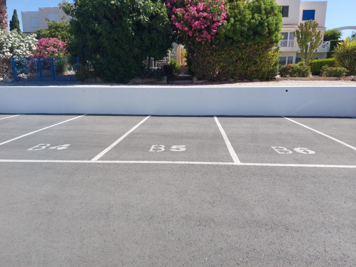 Coral Bay Suite Cyprus Εξωτερικό φωτογραφία